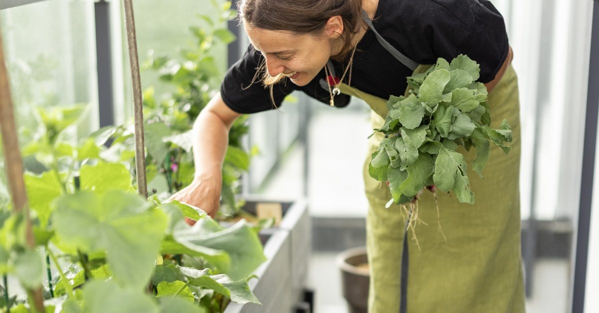 Potager de balcon : 5 légumes inratables pour débuter en ville