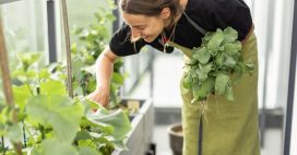 Potager de balcon : 5 légumes inratables pour débuter en ville