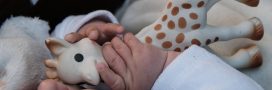 Sophie La Girafe « made in France » serait-elle produite en Chine ?