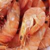 Virus des crevettes : ce pathogène marin pourrait provoquer une grave infection de l'oeil humain