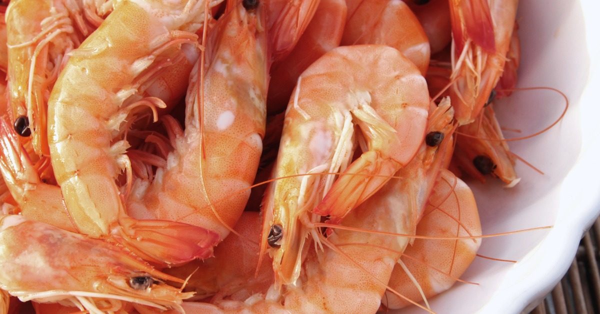 Virus des crevettes : ce pathogène marin pourrait provoquer une grave infection de l’oeil humain