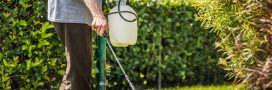 Pesticides près des maisons : quelles distances doivent être respectées ?