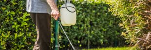 Pesticides près des maisons : quelles distances doivent être respectées ?
