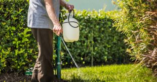 Pesticides près des maisons : quelles distances doivent être respectées ?