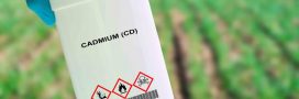 Cadmium dans les engrais : les députés votent un texte plus strict