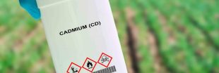 Cadmium dans les engrais : les députés votent un texte plus strict