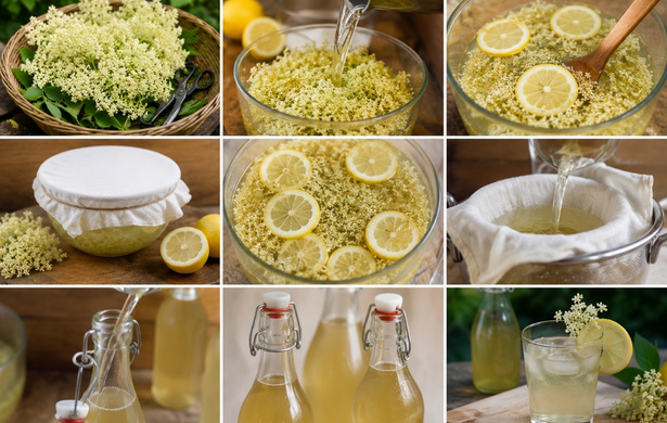 recette limonade sureau