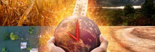 Vers un épisode El Niño sans précédent en 2026 ? Vers un épisode El Niño sans précédent en 2026 ?