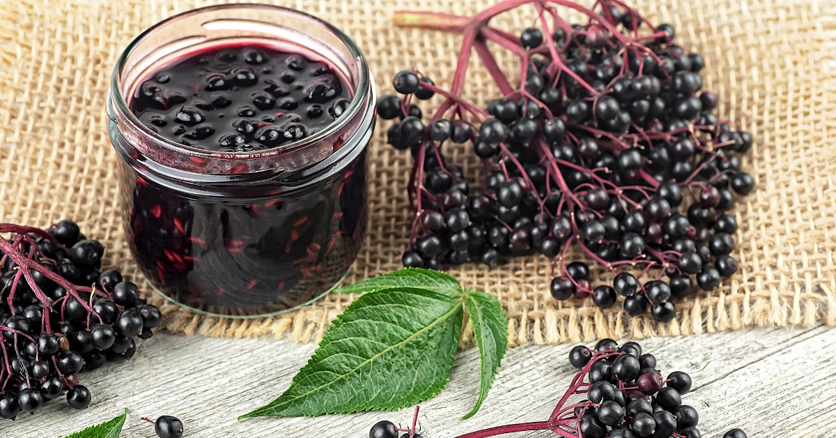 confiture de baies de sureau