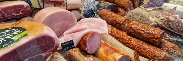Vitrine de charcuterie bien garnie