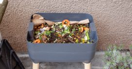 Lombricompostage sur son balcon : mode d’emploi facile