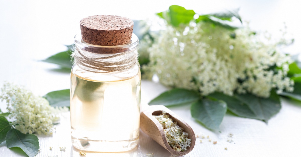 Lotion tonique à la fleur de sureau dans un flacon en verre entouré de fleurs fraîches de sureau.