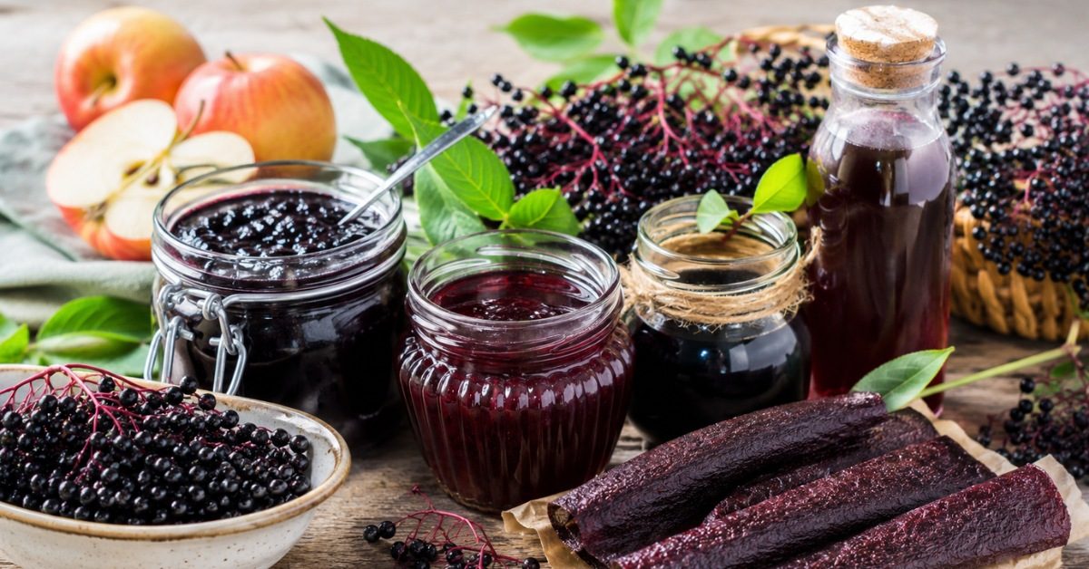 Baies de sureau noir : 5 recettes sauvages et gourmandes Baies de sureau noir : 5 recettes sauvages et gourmandes