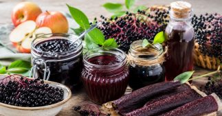Baies de sureau noir : 5 recettes sauvages et gourmandes Baies de sureau noir : 5 recettes sauvages et gourmandes