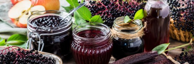 Baies de sureau noir : 5 recettes sauvages et gourmandes