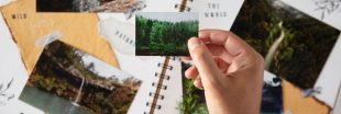 Comment imprimer ses photos tout en réduisant leur impact environnemental ?