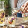 Mettez des fleurs dans vos boissons : une bonne idée fraîcheur ! Mettez des fleurs dans vos boissons : une bonne idée fraîcheur !