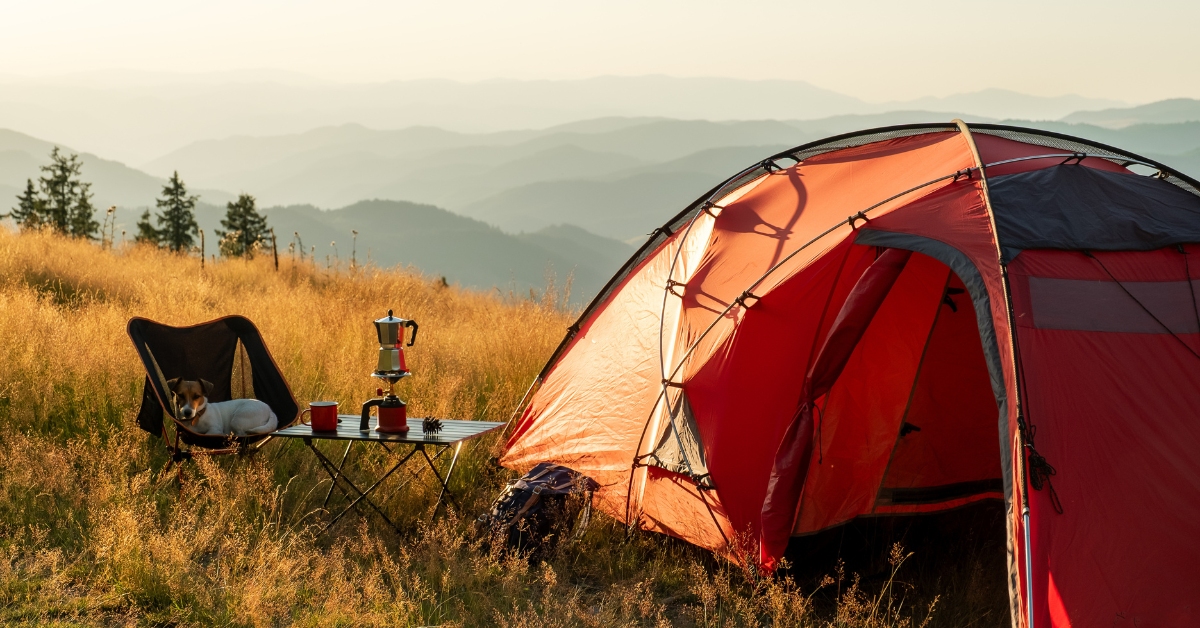 Camping sauvage : les règles à connaître... et à respecter ! Camping sauvage : les règles à connaître... et à respecter !