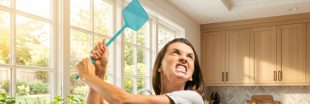 Mouches dans la maison : les astuces naturelles qui fonctionnent vraiment Mouches dans la maison : les astuces naturelles qui fonctionnent vraiment