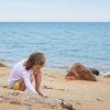 Eaux de baignade 2026 : le classement des plages Eaux de baignade 2026 : le classement des plages
