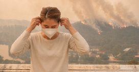 Incendies de forêts : que faire pour se protéger des fumées ? Incendies de forêts : que faire pour se protéger des fumées ?