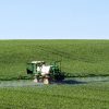 Loi Duplomb : les pesticides sont bel et bien de retour Loi Duplomb : les pesticides sont bel et bien de retour
