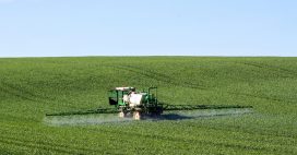 Loi Duplomb : les pesticides sont bel et bien de retour Loi Duplomb : les pesticides sont bel et bien de retour