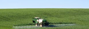 Loi Duplomb : les pesticides sont bel et bien de retour