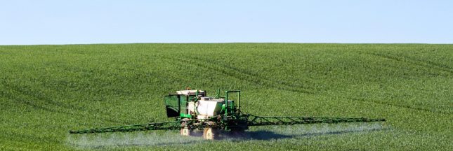 pesticides