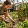 Moucherons, maladies et sécheresse : 3 remèdes 100 % naturels pour sauver votre potager Moucherons, maladies et sécheresse : 3 remèdes 100 % naturels pour sauver votre potager
