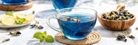 Thé bleu au pois papillon : la boisson magique qui change de couleur