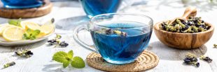 Thé bleu au pois papillon : la boisson magique qui change de couleur