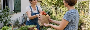 Si je vends les fruits et légumes de mon jardin, est-ce imposable ? Si je vends les fruits et légumes de mon jardin, est-ce imposable ?