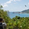 Les espèces introduites donnent une fausse impression de biodiversité