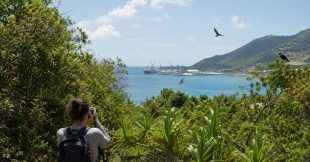Les espèces introduites donnent une fausse impression de biodiversité Les espèces introduites donnent une fausse impression de biodiversité