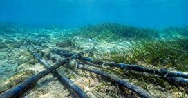 Les câbles sous-marins, une pollution aussi massive que méconnue Les câbles sous-marins, une pollution aussi massive que méconnue