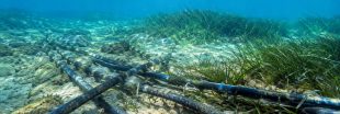 Les câbles sous-marins, une pollution aussi massive que méconnue Les câbles sous-marins, une pollution aussi massive que méconnue