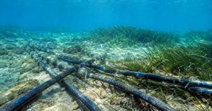 Les câbles sous-marins, une pollution aussi massive que méconnue Les câbles sous-marins, une pollution aussi massive que méconnue