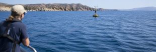 Réchauffement : les poulpes fuient vers le nord, les dauphins mangent des méduses Réchauffement : les poulpes fuient vers le nord, les dauphins mangent des méduses