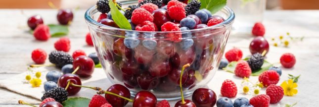 Fraises, framboises, myrtilles, mûres et groseilles triées dans un contenant