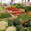 Sécheresse 2026 : quels légumes français pourraient manquer ou coûter plus cher ? Sécheresse 2026 : quels légumes français pourraient manquer ou coûter plus cher ?