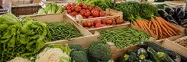 Sécheresse 2026 : quels légumes français pourraient manquer ou coûter plus cher ?