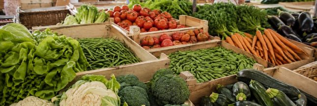 Clients en tenue d’été devant un étal de marché garni de légumes frais et variés.