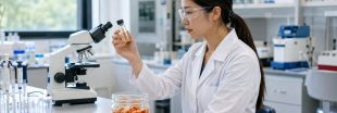 Microplastiques : un aliment fermenté limite leur accumulation selon une étude Microplastiques : un aliment fermenté limite leur accumulation selon une étude