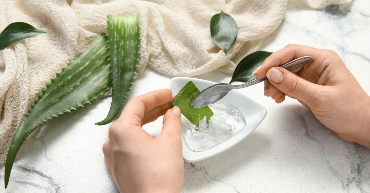 extraire gel d'aloe vera