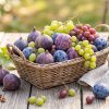 Figues, prunes, raisins : que faire avec les premiers fruits de la fin d'été ? Figues, prunes, raisins : que faire avec les premiers fruits de la fin d'été ?