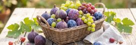 Figues, prunes, raisins : que faire avec les premiers fruits de la fin d'été ? Figues, prunes, raisins : que faire avec les premiers fruits de la fin d'été ?