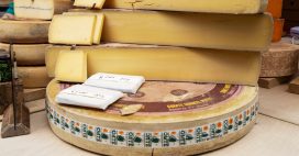 Sécheresse : l’abondance, le beaufort et le comté assouplissent leurs règles Sécheresse : l’abondance, le beaufort et le comté assouplissent leurs règles