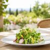 Graines germées : comment les utiliser dans vos repas d'été ? Graines germées : comment les utiliser dans vos repas d'été ?
