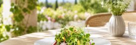 Graines germées : comment les utiliser dans vos repas d'été ? Graines germées : comment les utiliser dans vos repas d'été ?